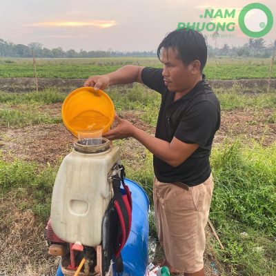 mo-hinh-trong-sinh-hoc-1-500m²-tai-an-giang-giai-doan-sau-29-ngay-gieo-hat-4