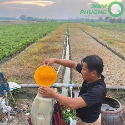 mo-hinh-trong-sinh-hoc-1-500m²-tai-an-giang-giai-doan-sau-29-ngay-gieo-hat-5